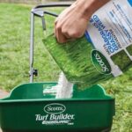 La mejor opción para matar crabgrass