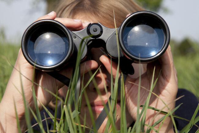 Las mejores opciones de binoculares