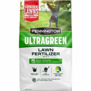 El mejor fertilizante para la opción de pasto de San Agustín: Soluciones simples para césped Fertilizante líquido verde máximo