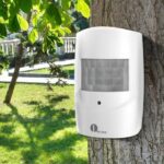 Mejor alarma de entrada