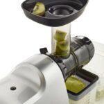 Mejor exprimidor de masticación