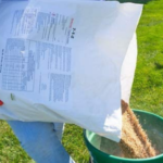 Los mejores fertilizantes orgánicos para césped