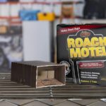 La mejor opción de cebo para cucarachas