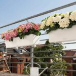 La mejor opción de sembradora con riego automático