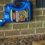 La mejor opción de tratamiento de termitas