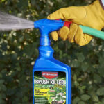 Las mejores opciones de eliminadores de maleza