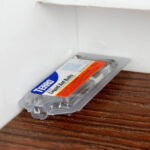 Las mejores opciones para matar hormigas carpinteras