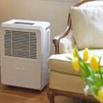 Las mejores opciones de deshumidificadores