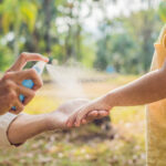 Las mejores opciones de repelente de moscas