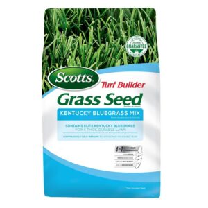 Las mejores opciones de semillas de césped: Scotts Turf Builder Grass Seed Kentucky Bluegrass Mix