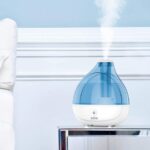 El mejor humidificador para opciones de plantas