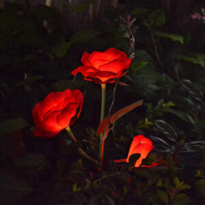 La mejor opción de adorno de césped: Luces solares de estaca para exteriores Abkshine Rose Flower