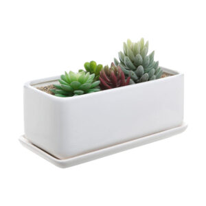 Opción de las mejores macetas para plantas de aloe: maceta de cerámica blanca moderna rectangular MyGift de 10 pulgadas
