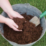 Las mejores opciones de mezcla inicial de semillas