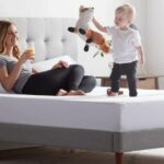 La mejor opción de funda de colchón para chinches