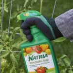 El mejor insecticida para la opción de huerto