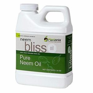 El mejor insecticida para la opción de huerto: aceite de semilla de neem 100% orgánico prensado en frío de Neem Bliss