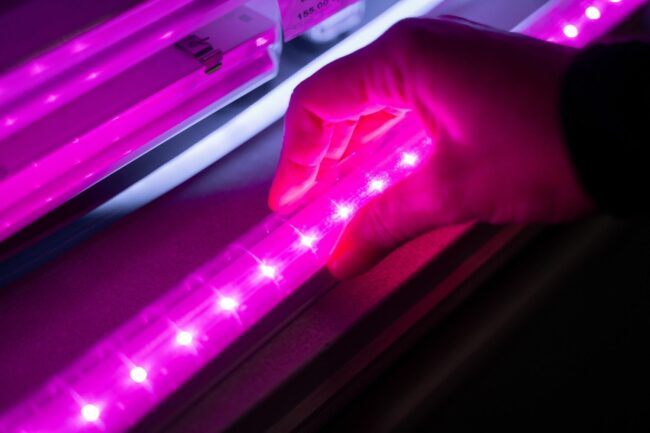 La mejor opción de luces de cultivo LED