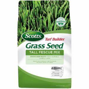 La mejor opción de semilla de hierba de festuca alta: Scotts Turf Builder Grass Seed Mezcla de festuca alta de 7 lb.