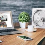 La mejor opción de ventilador de caja