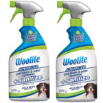 Las mejores opciones de quitamanchas para mascotas: Woolite Advanced Pet Stain