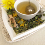 Las mejores opciones de infusor de té