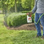 El mejor spray para garrapatas para opciones de jardín