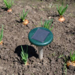 Las mejores opciones de repelente de plagas ultrasónico