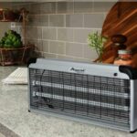 La mejor opción para eliminar insectos en interiores