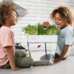 El mejor jardín interior