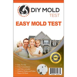 La mejor opción de kit de prueba de moldes: Red de inspección de moldes Prueba de moldes de bricolaje