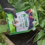 Los mejores asesinos de babosas