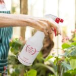 Mejor botella de spray