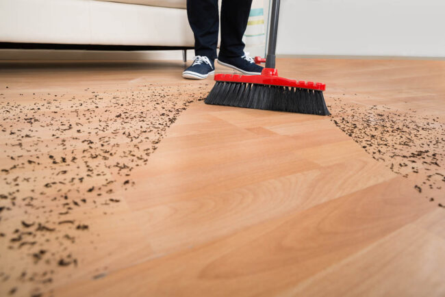 La mejor escoba para opciones de pisos de madera noble