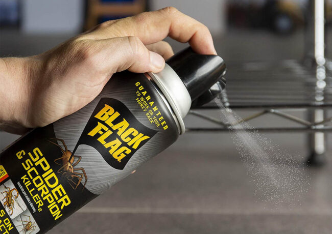 Las mejores opciones para matar escorpiones