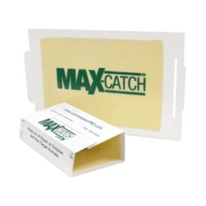 La mejor opción para matar escorpiones: Catchmaster 72MAX Pest Trap
