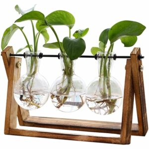 La mejor opción de sistema hidropónico: XXXFLOWER Bulb Glass Hydroponics Home Garden