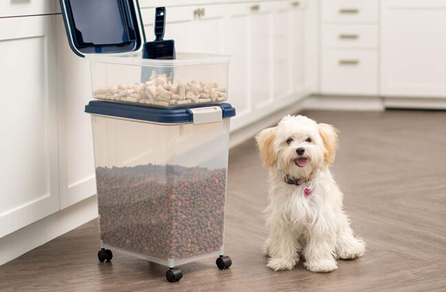 Las mejores opciones de almacenamiento de comida para perros