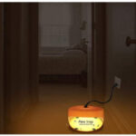 Las mejores opciones de trampa de pulgas